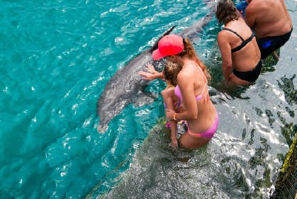 Dolphin_Encounter_verkleind6